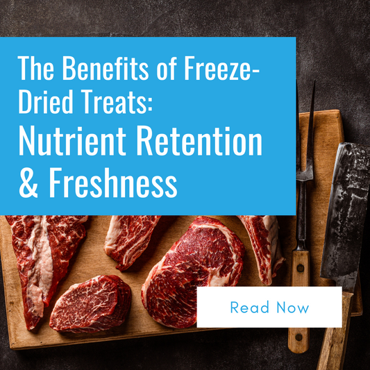 The Benefits of Freeze-Dried Treats: Nutrient Retention and Freshness
