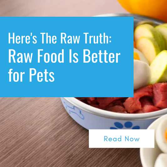 Here's The Raw Truth: Raw Food Is Better for Pets
