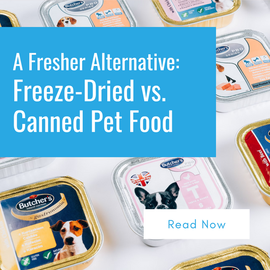 A Fresher Alternative: Freeze-Dried vs. Canned Pet Food