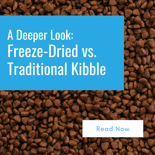 A Deeper Look: Freeze-Dried vs. Traditional Kibble